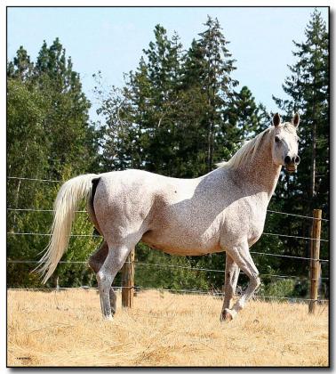 Pasture time