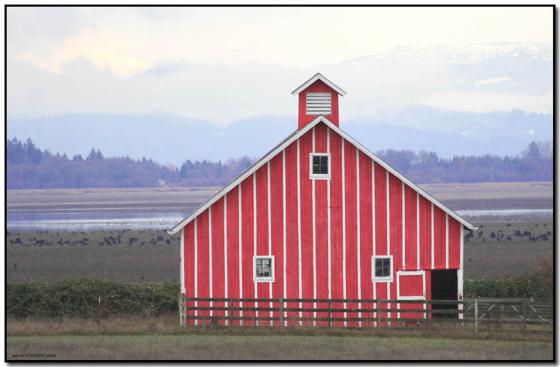 The Red Barn